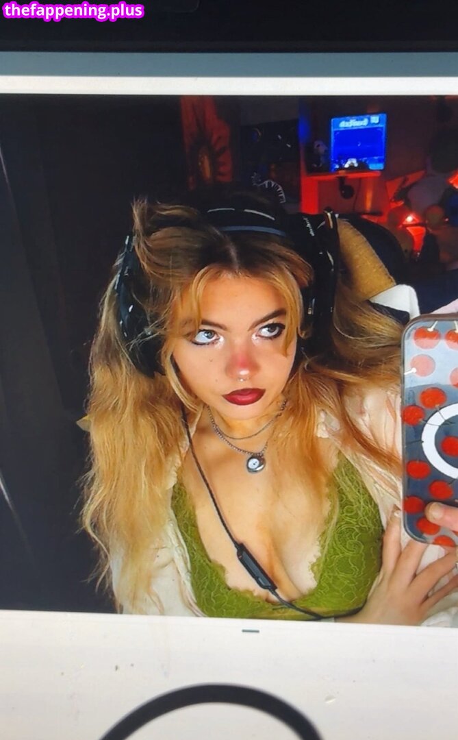aiiygatorz