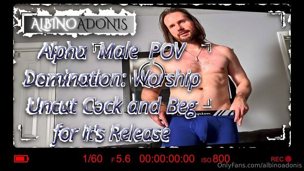 albinoadonis