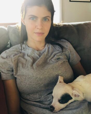 Full leaked Alexandra daddario page private onlyfans photo