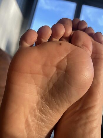 alexavlley
