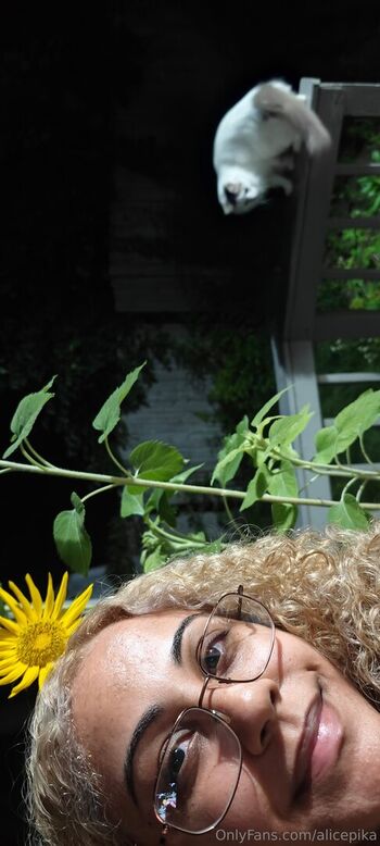alicepika