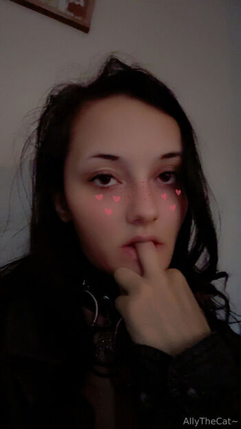 allythecat
