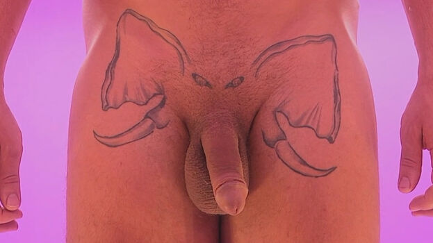 Full leaked An attracton private onlyfans photo