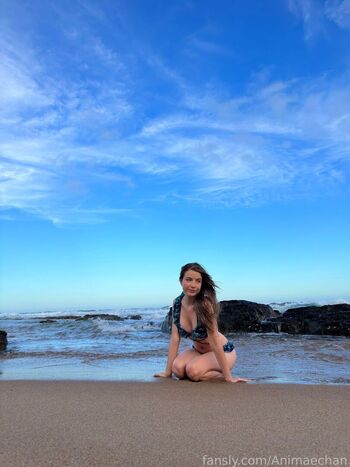 Animaechan