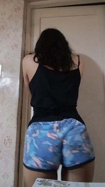 anisauro6