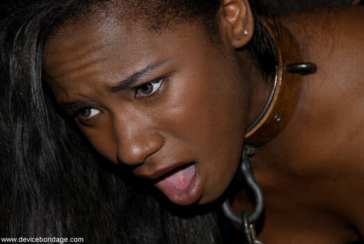 Ariel Alexus
