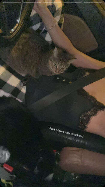 Full leaked Ashleyluv private onlyfans photo