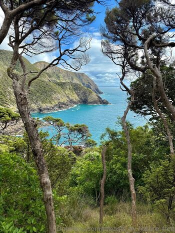 breasts_in_nature_free