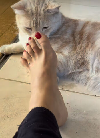 Full leaked Celebrity feet private onlyfans photo