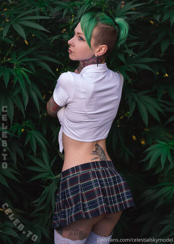 Full leaked Celestial sky  page private onlyfans photo