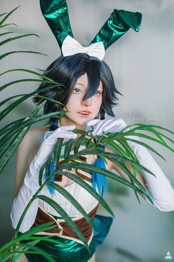 CharlesQwQ1703