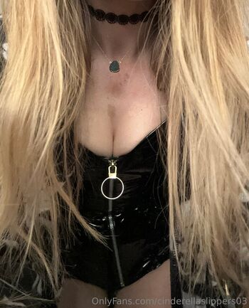 cinderellaslippers03