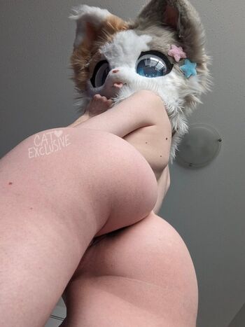 creamfilledcat