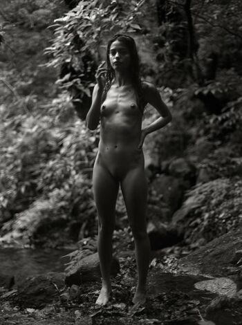 Cynthia Senek