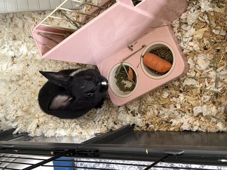 Full leaked Dahnikz private onlyfans photo