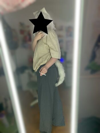 denpafish