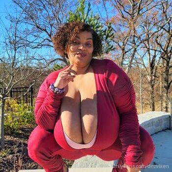 Dezvixen