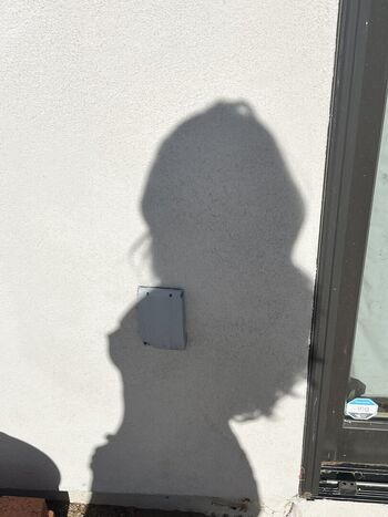 Full leaked Discolita private onlyfans photo