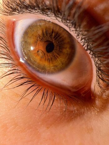 Full leaked Dixie d amelio private onlyfans photo