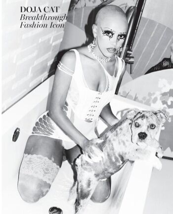 Doja cat leaked photo video viral