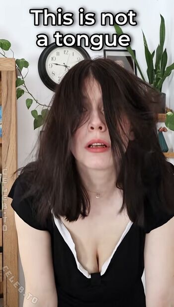 Dont Trust The Rabbit