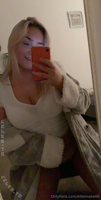 elliemae_vip