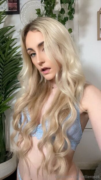 Ellierosek