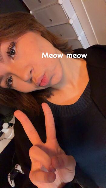 emmilovscats