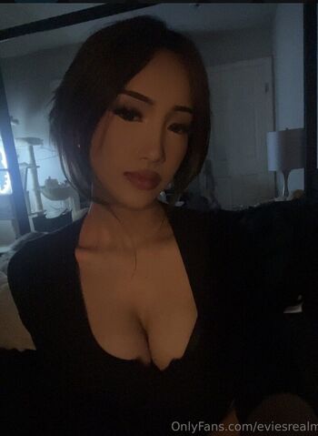 Eviesrealm / ellerez / ellybaby