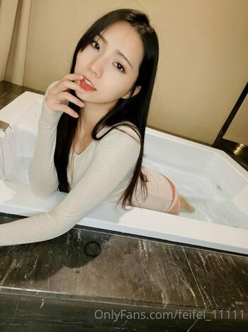 feifei_11111
