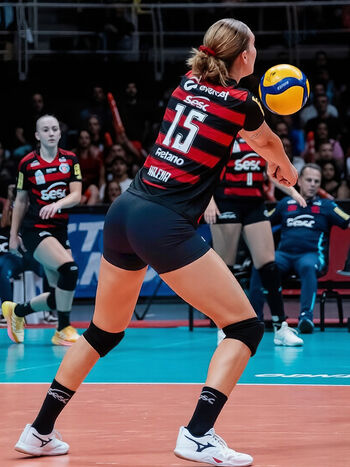 Helena Wenk Hoengen