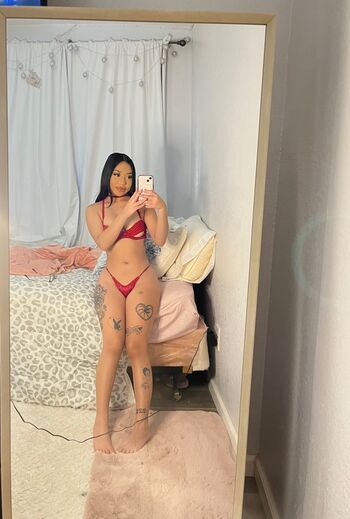 indigodess