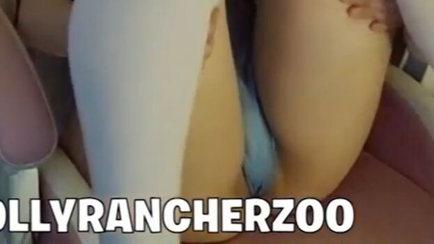 Jollyranch3rzoo