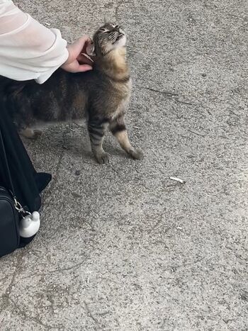Full leaked Kai private onlyfans photo