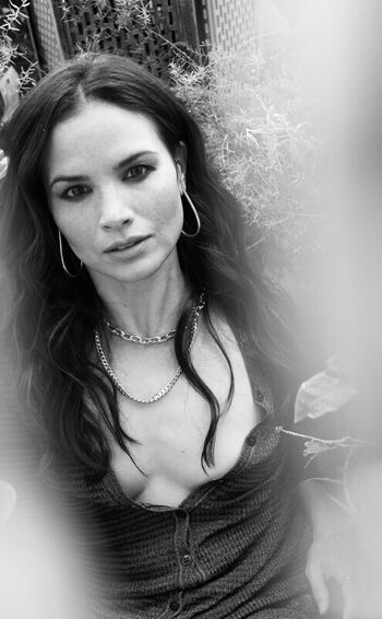 Katrina Law