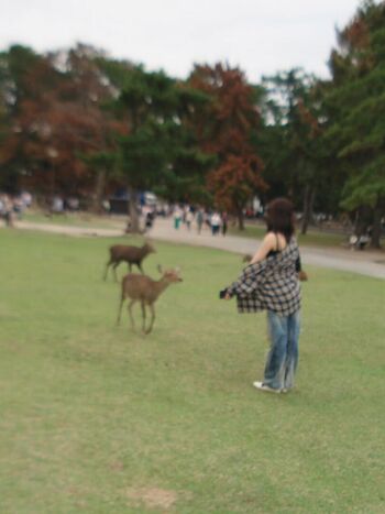 Kazuha Nakamura 中村 一葉
