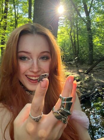KDRkitten