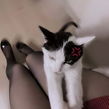 Kisuccubus