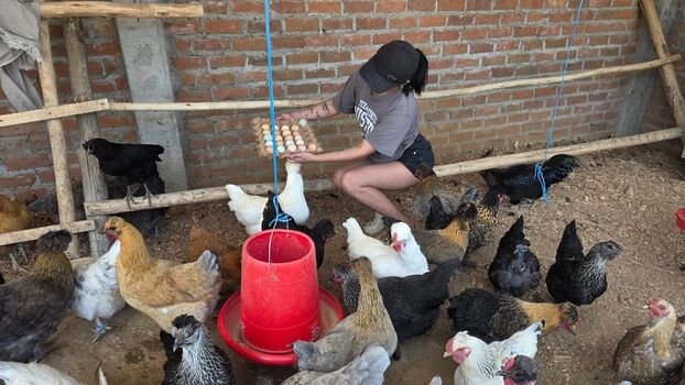 Full leaked La criadora de gallinas private onlyfans photo