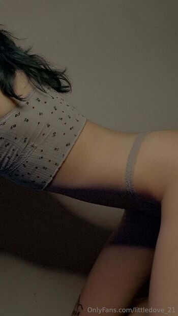 littledove_21