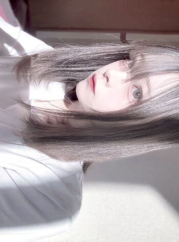 LLLiLL55