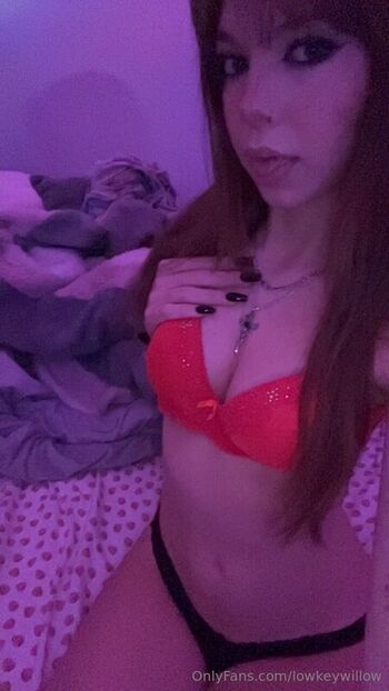 Full leaked Lowkeywillow private onlyfans photo