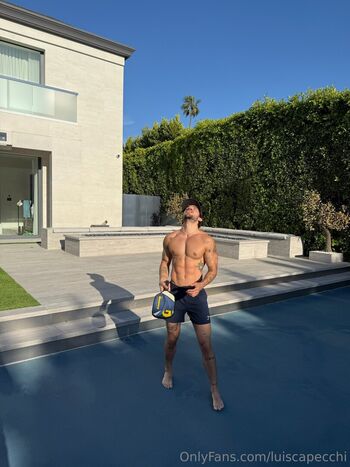 luiscapecchi