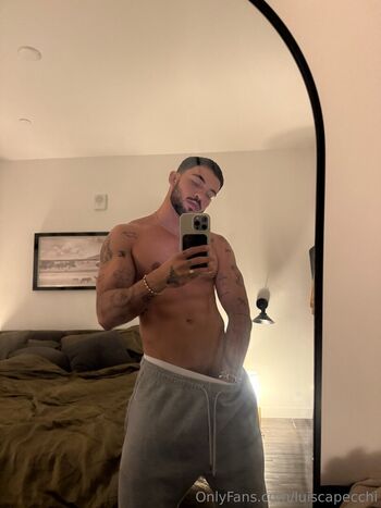 luiscapecchi