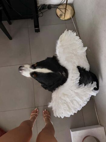 Full leaked Luna piombanti private onlyfans photo