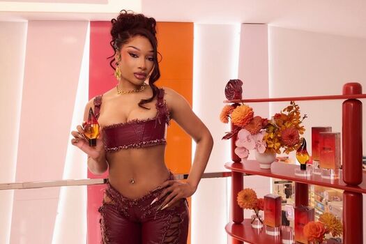 Full leaked Megan thee stallion  page private onlyfans photo