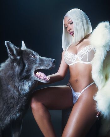Megan Thee Stallion
