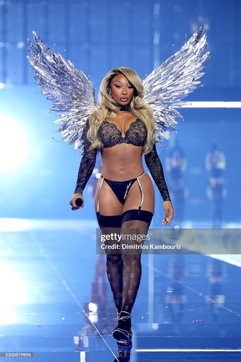 Megan Thee Stallion