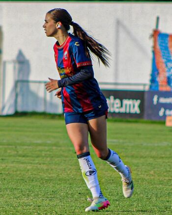 Nailea Vidrio