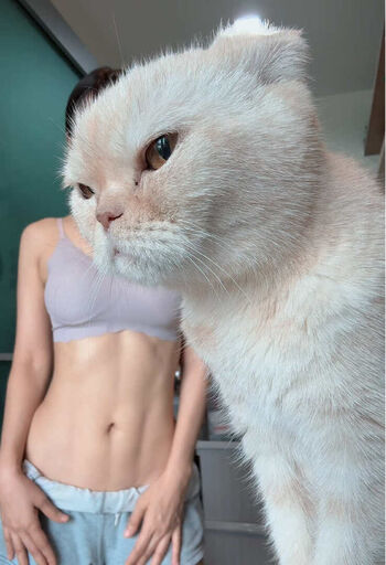 Full leaked Namkuanmitr private onlyfans photo